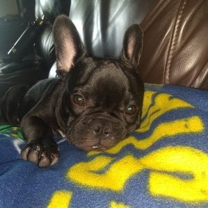 Meet your Posher, Madz